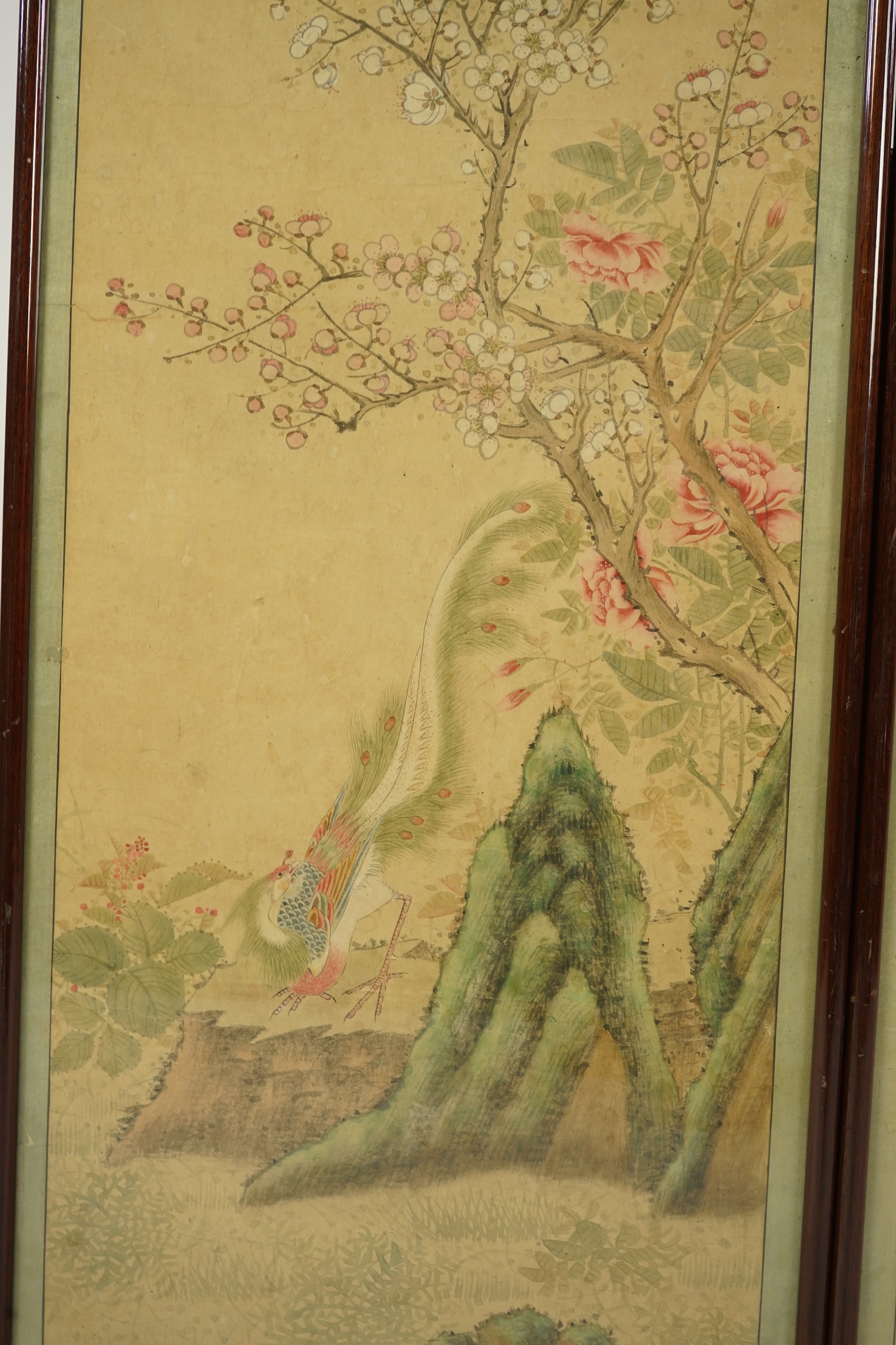 Chinese School , (18th/19th century), Phoenixes amid flowers, Ink and colour on paper; a pair